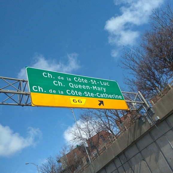 Meet your Posher, Lily - Picture 1 of 1